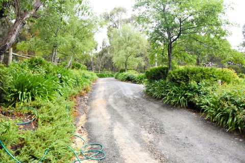 Avoca Park - Mackay Tourism 4