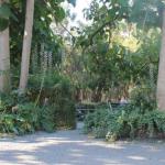Avoca Park - Mackay Tourism 0