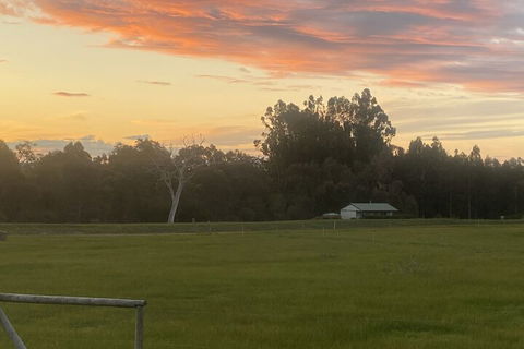 Manyat Peak Cottages - Mackay Tourism 1