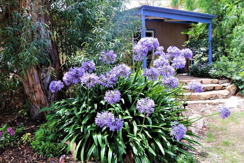 A Stanthorpe Getaway - Mackay Tourism 4