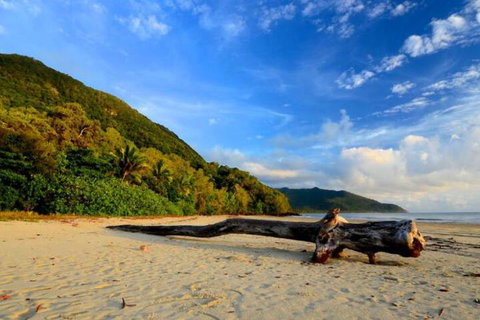 Daintree Rainforest Beach House - Mackay Tourism 7