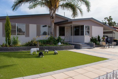 Chrissies Palace Hostel - Mackay Tourism 1