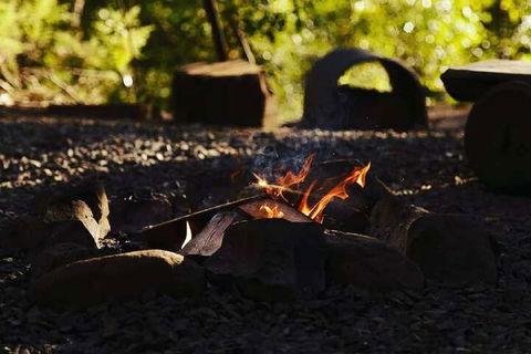 Carawirry Forest Escape - Mackay Tourism 5
