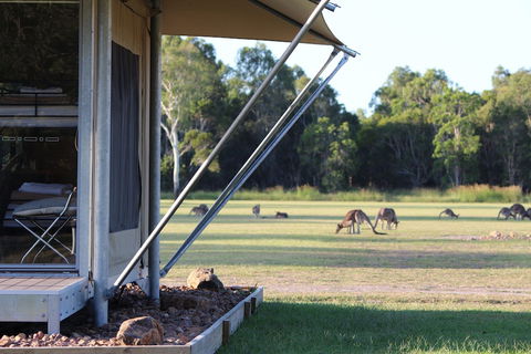 Habitat Noosa - Mackay Tourism 3