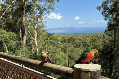 Grand Bali Retreat At Arakoon - Mackay Tourism 0