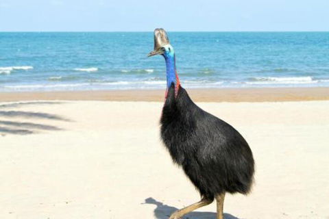 Kirrama 3 - Mackay Tourism 4