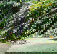 Sanctuary in The Pocket - Mackay Tourism