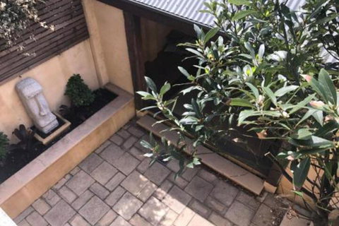 Zaara - Mackay Tourism 7