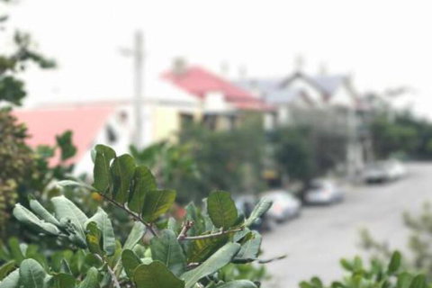 Zaara - Mackay Tourism 4