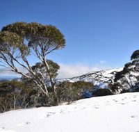 Alpine Heights 9 - Mackay Tourism