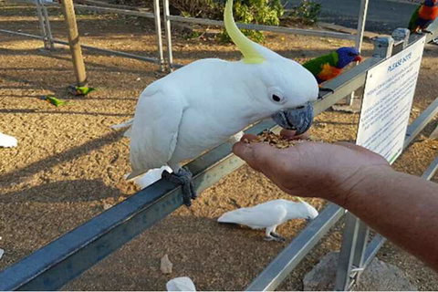 BIG4 Cania Gorge Holiday Park - Mackay Tourism 3