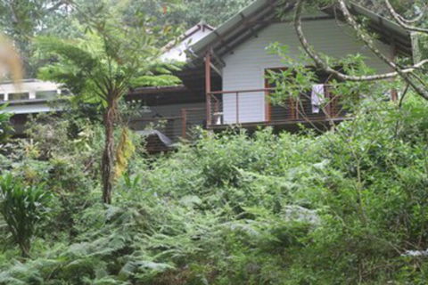 Peaceful Rainforest Wildlife Retreat - Mackay Tourism 3