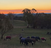 High Country Trail Rides  Farm Stay - Mackay Tourism