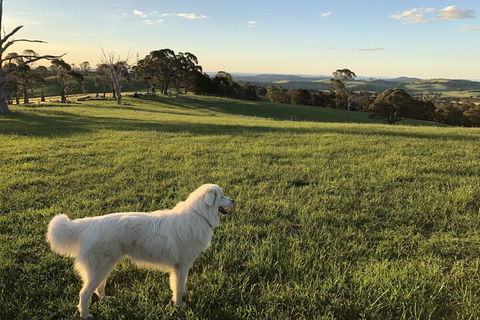 High Country Trail Rides & Farm Stay - Mackay Tourism 1