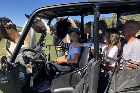High Country Trail Rides & Farm Stay - Mackay Tourism 4