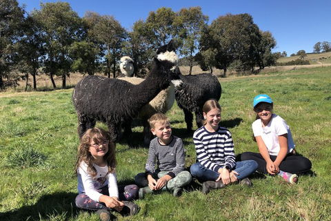 High Country Trail Rides & Farm Stay - Mackay Tourism 3