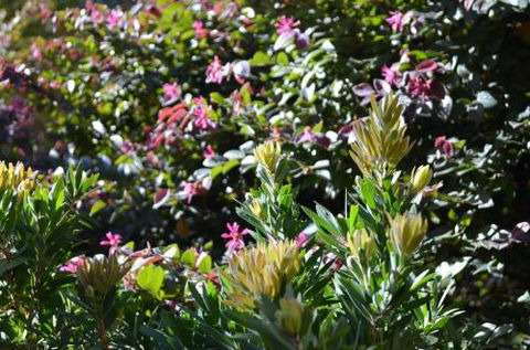 A Bach At Bright Bright VIC - Mackay Tourism 4