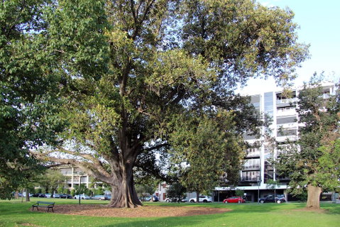 Adelaide Central Apartment - 3BR, 2Bath & Carpark - Mackay Tourism 1