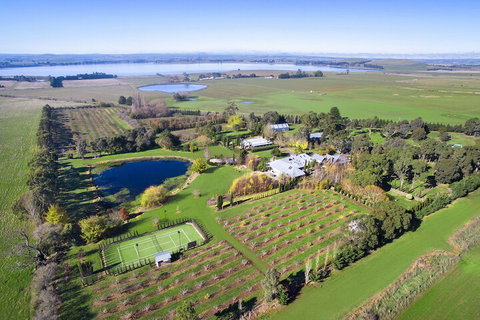 Orchards At Spring Vale Farm - Mackay Tourism 1