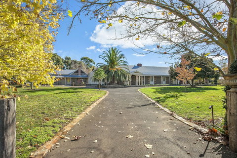 Orchards At Spring Vale Farm - Mackay Tourism 2