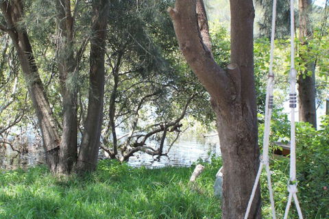 Waters Edge - Mackay Tourism 5