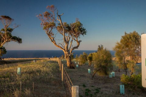 Fleurieu Coastal Retreat Lot 150 Myponga Beach Road - Mackay Tourism 2