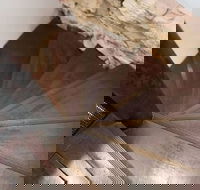 Historic 1890s House With Terraced Backyard Deck H346 - Mackay Tourism