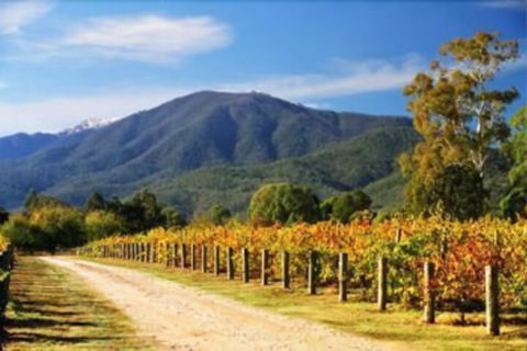 The Park Mount Beauty - Mackay Tourism 1
