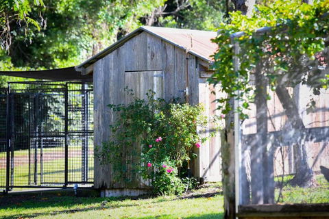 RayfieldsatBerry Kangaroo Valley - Mackay Tourism 5