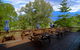 Heritage Hotel - thumb 4