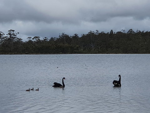 Lake Yalleena Nature Retreat - Mackay Tourism 0