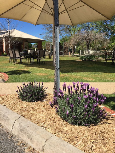 Wine Village Motor Inn - Mackay Tourism 4