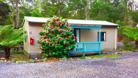 BIG4 Strahan Holiday Retreat - Mackay Tourism 6