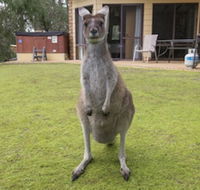 Yelverton Brook Conservation Sanctuary - Mackay Tourism