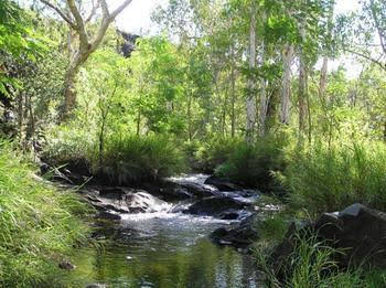 Mt Hart Homestead - Mackay Tourism 4