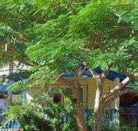 Amber Gardens Guesthouse - Mackay Tourism