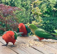Crimson Villa - Mackay Tourism
