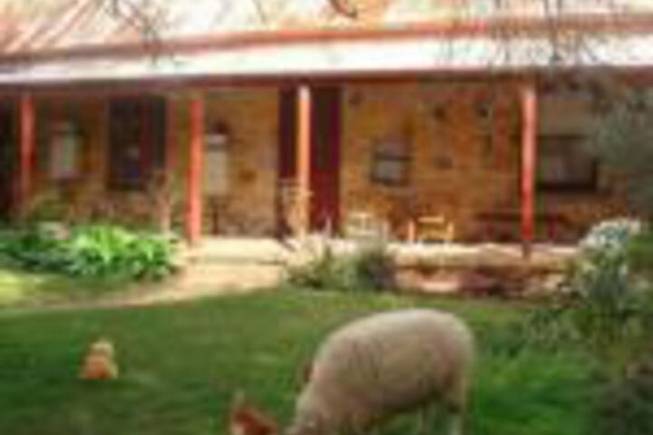 Mount Barker Springs SA Mackay Tourism