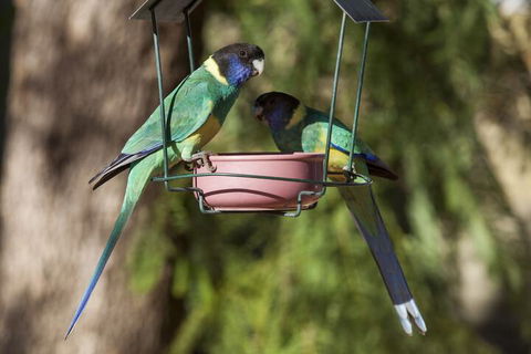 Kathys Place Bed And Breakfast - Mackay Tourism 2