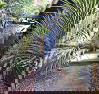 Lornebeach Apartments - Mackay Tourism