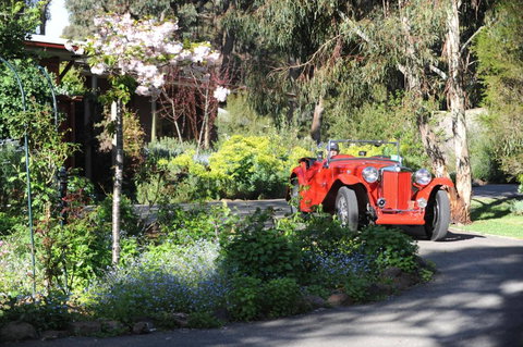 Wintarni Olives Cottage - Mackay Tourism 1