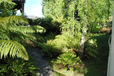 The Wombat Cottage - Mackay Tourism 4