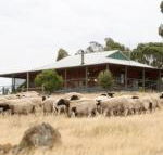 Gilgraves Vineyard Farmstay - Mackay Tourism