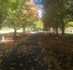 A peaceful cabin in the country - Mackay Tourism