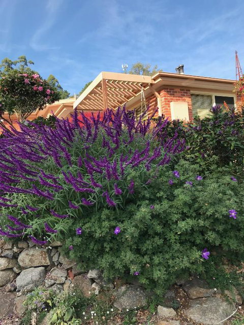 Holly Cottage - Mackay Tourism 3