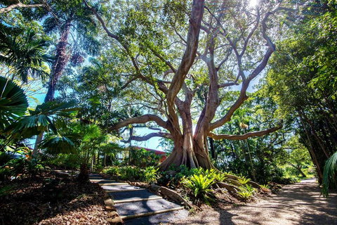 The Figs Byron - Mackay Tourism 2