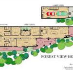 Forest View - Mackay Tourism