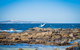 Cherrybush At Mystery Bay - thumb 5