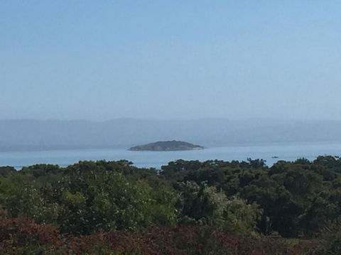Tidal Dreaming Seaview Cottages - Mackay Tourism 4
