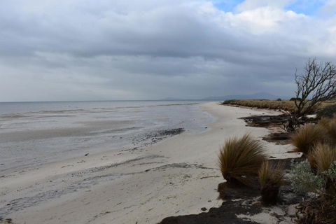 Tidal Dreaming Seaview Cottages - Mackay Tourism 6